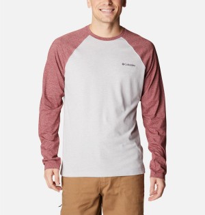 Columbia Thistletown Hills Raglan Men's T-Shirt White | AXJGEO-342