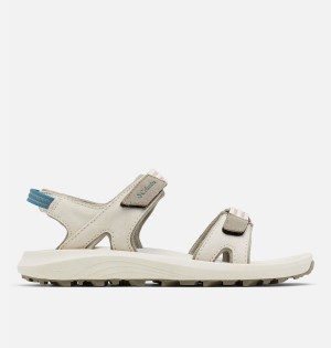 Columbia Trailstorm Hiker 2-Strap Women's Sandals Grey | SLRWTK-147