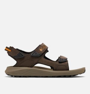 Columbia Trailstorm Hiker 3-Strap Men's Sandals Brown | XAHWNB-701