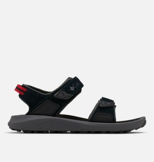 Columbia Trailstorm Hiker Two Strap Men's Sandals Black | SZBLXA-714