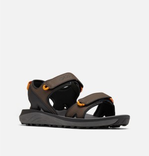 Columbia Trailstorm Men's Sandals Brown | CLXOUR-423