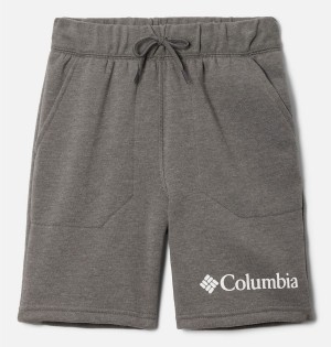 Columbia Trek Kids' Shorts Grey | RPLFGT-038