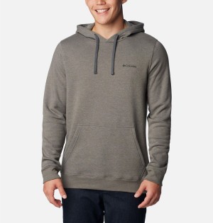 Columbia Trek Men's Hoodie Grey | CFKIJQ-143