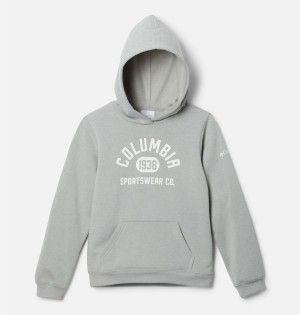Columbia Trek Pullover Kids' Hoodie Grey | JXKETA-078