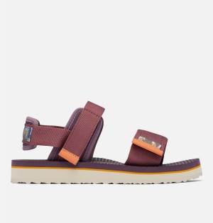 Columbia Via - Desert Nights Women's Sandals Purple | KXFRTP-068