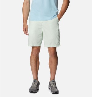 Columbia Washed Out Men's Shorts Green | LNQZTC-725