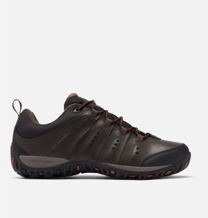 Columbia Woodburn II Waterproof Men's Hiking Shoes Brown | AUWENZ-537