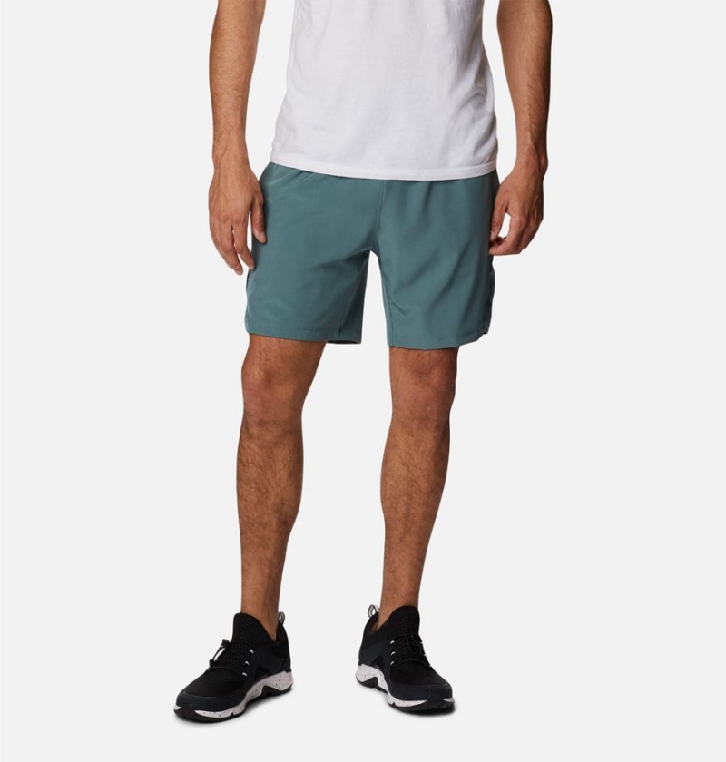 Columbia Alpine Chill Zero Men\'s Shorts Blue | HFXOJC-327