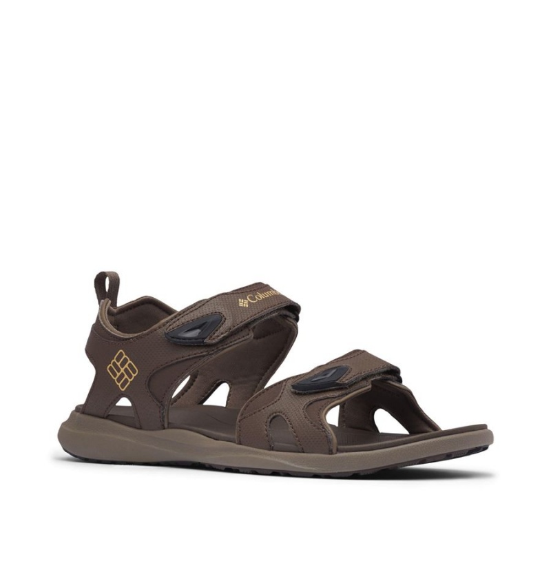 Columbia Ankle Strap Men's Sandals Brown | EAKFBR-158