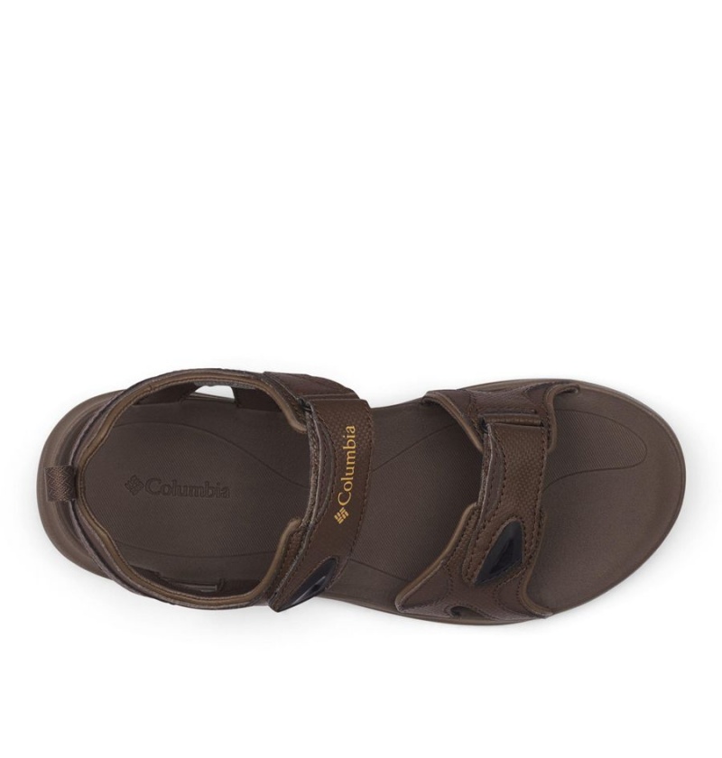 Columbia Ankle Strap Men's Sandals Brown | EAKFBR-158