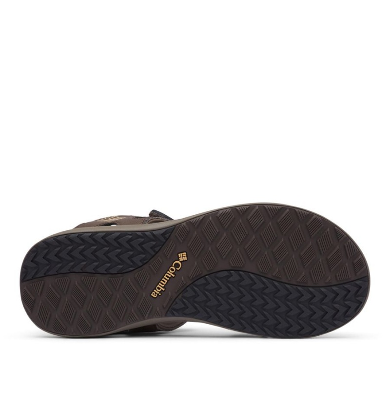 Columbia Ankle Strap Men's Sandals Brown | EAKFBR-158