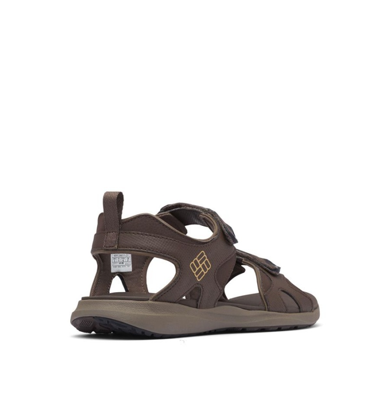 Columbia Ankle Strap Men's Sandals Brown | EAKFBR-158