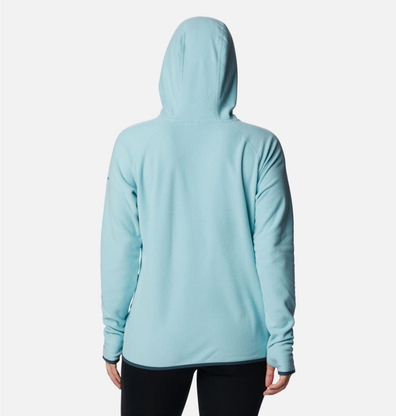 Columbia Back Beauty Pullover Women's Hoodie Turquoise | BCNAYL-784