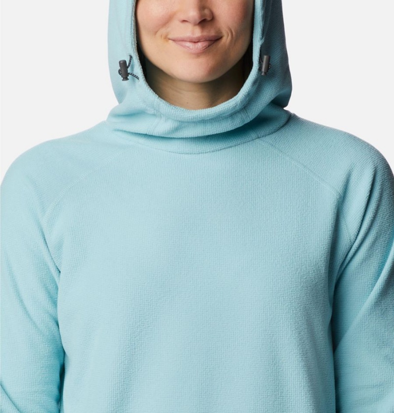Columbia Back Beauty Pullover Women's Hoodie Turquoise | BCNAYL-784