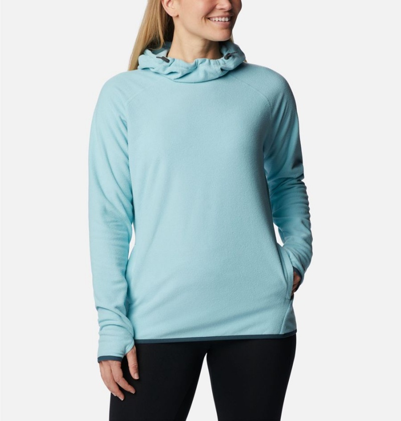 Columbia Back Beauty Pullover Women\'s Hoodie Turquoise | BCNAYL-784