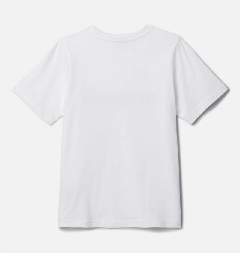 Columbia Basin Ridge Short Sleeve Graphic Kids' T-Shirt White | KQDUVR-503
