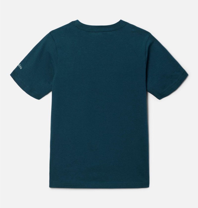 Columbia Basin Ridge Short Sleeve Graphic Kids' T-Shirt Turquoise | TAGEQH-608