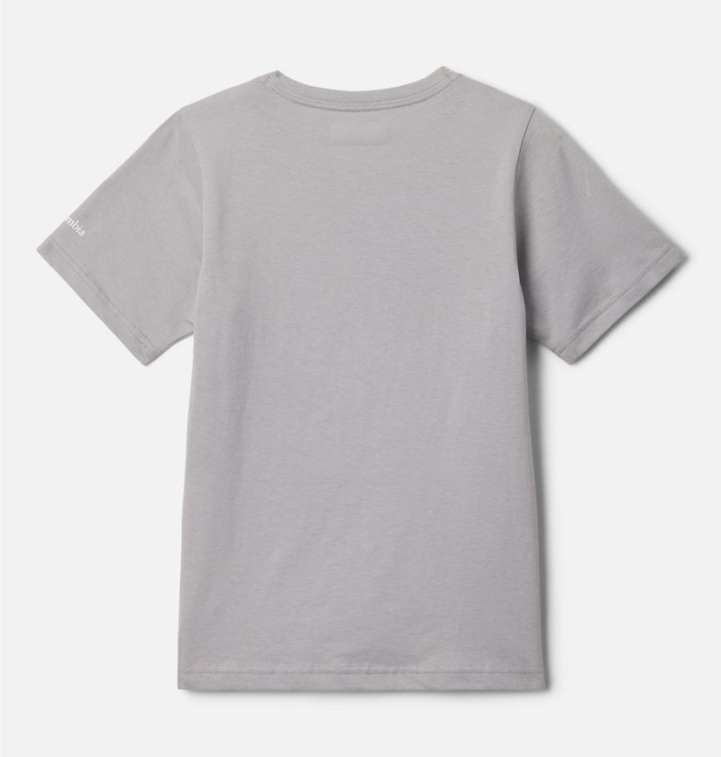 Columbia Basin Ridge Short Sleeve Graphic Kids' T-Shirt Grey | XMFVHJ-827