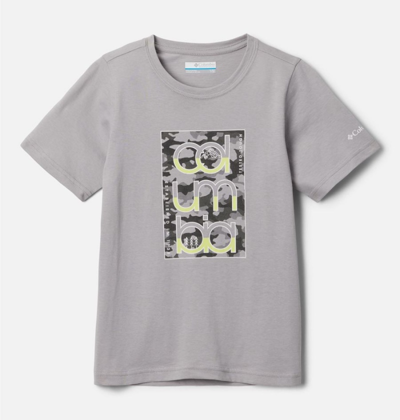 Columbia Basin Ridge Short Sleeve Graphic Kids\' T-Shirt Grey | XMFVHJ-827