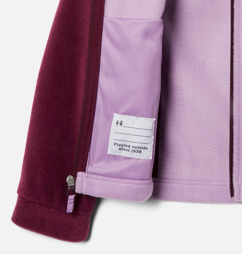 Columbia Benton Springs Fleece Kids' Jacket Purple | ZPFNCI-059
