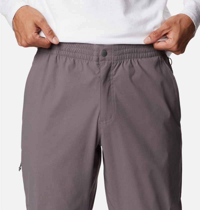Columbia Black Mesa Tapered Men's Pants Grey | BTOKWQ-762