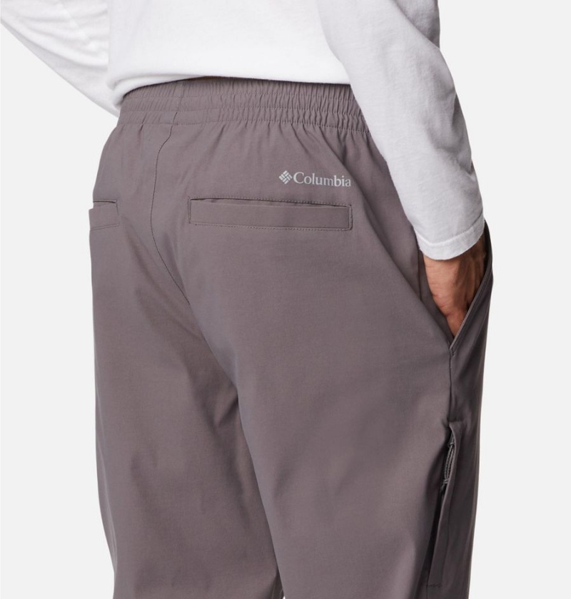 Columbia Black Mesa Tapered Men's Pants Grey | BTOKWQ-762