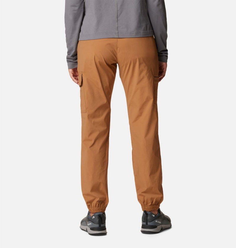 Columbia Boundless Trek Pleated Women's Pants Brown | ZKQCJA-894