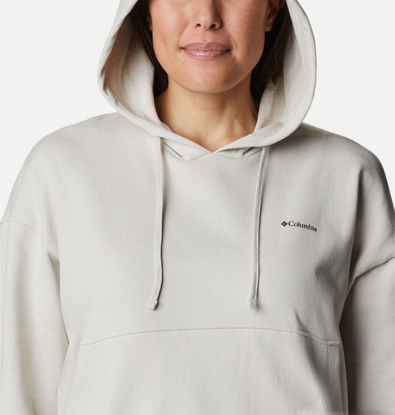 Columbia Break It Down Women's Hoodie Beige | KJNIWU-478