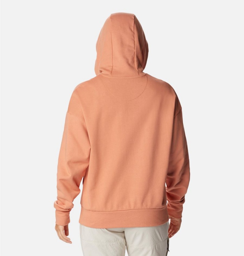 Columbia Break It Down Women's Hoodie Orange | RCPHOQ-085