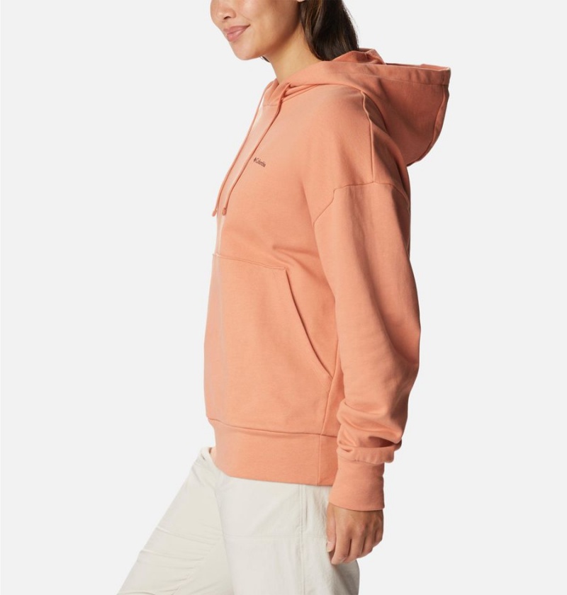 Columbia Break It Down Women's Hoodie Orange | RCPHOQ-085
