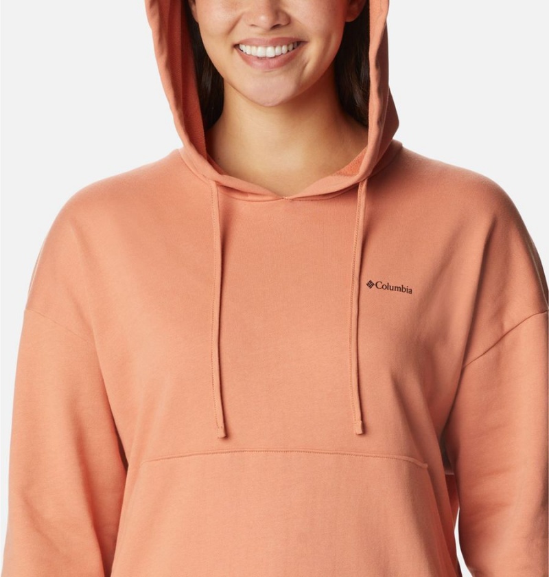 Columbia Break It Down Women's Hoodie Orange | RCPHOQ-085