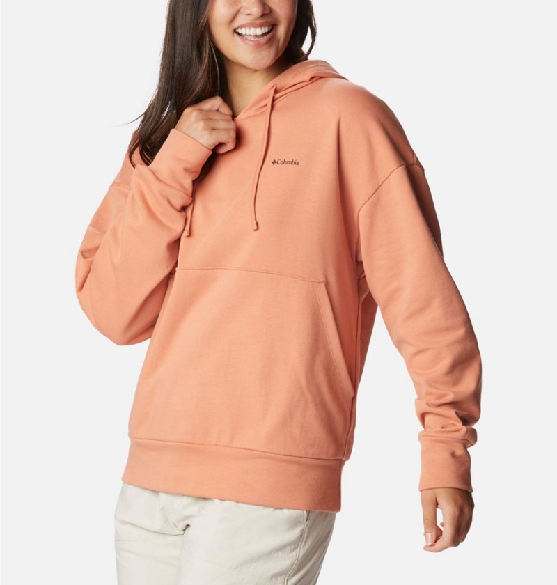 Columbia Break It Down Women's Hoodie Orange | RCPHOQ-085