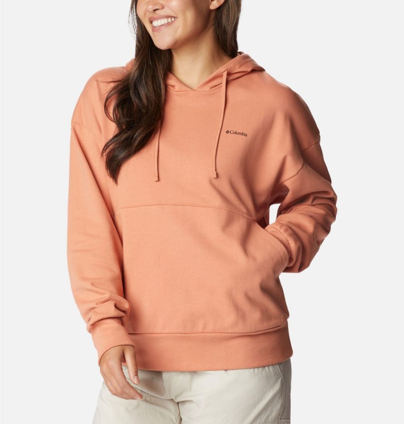 Columbia Break It Down Women\'s Hoodie Orange | RCPHOQ-085