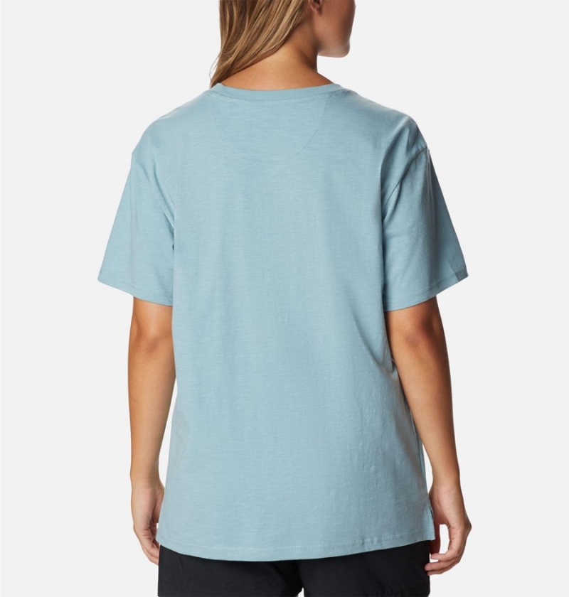 Columbia Break It Down Women's T-Shirt Blue | LFYDPJ-482