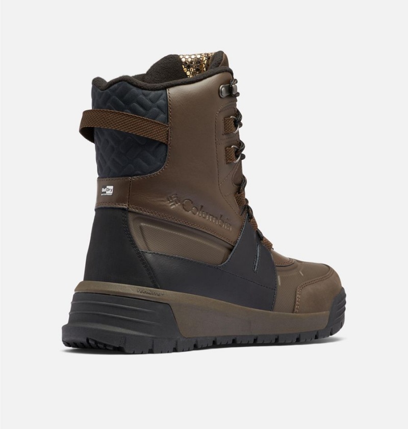 Columbia Bugaboot Celsius Plus Omni Heat Infinity Men's Boots Brown | IBEZSR-028