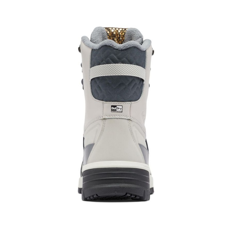 Columbia Bugaboot Celsius Plus Women's Boots Beige | SENHQY-563