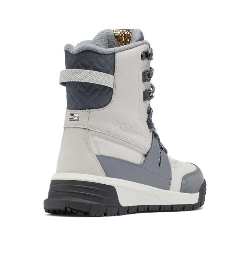 Columbia Bugaboot Celsius Plus Women's Boots Beige | SENHQY-563