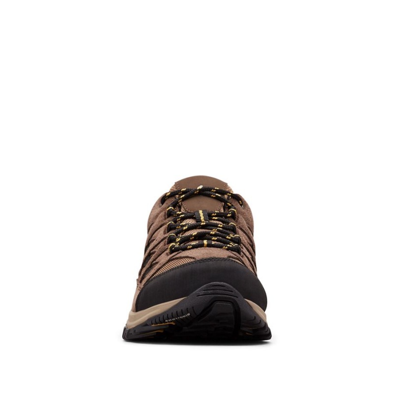 Columbia Crestwood Men's Hiking Shoes Brown | JERTSA-921