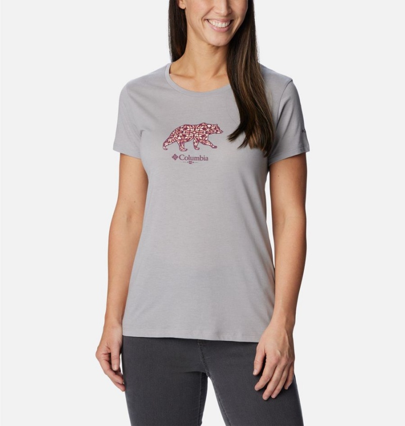 Columbia Daisy Days Graphic Women\'s T-Shirt Grey | SHFLJX-831