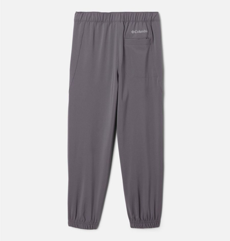 Columbia Daytrekker Kids' Pants Grey | SQVPHJ-409