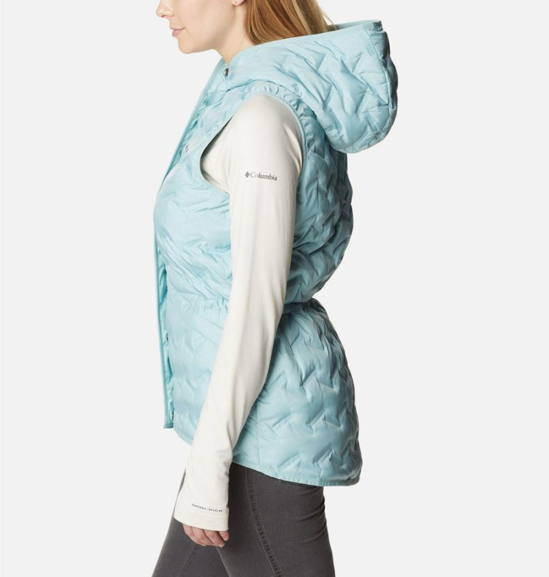 Columbia Delta Ridge Hooded Women's Vest Turquoise | BZCNYL-908