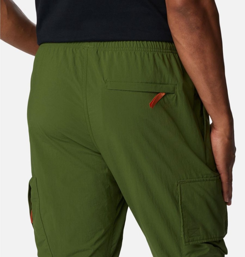 Columbia Deschutes Valley Men's Pants Green | NBFZLH-360