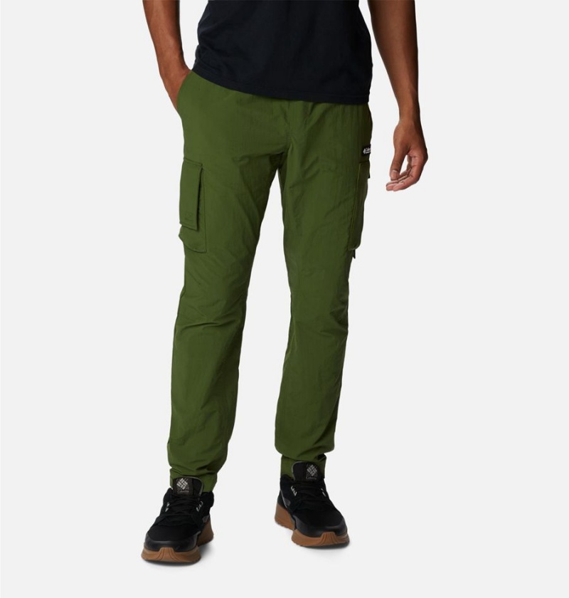 Columbia Deschutes Valley Men's Pants Green | NBFZLH-360
