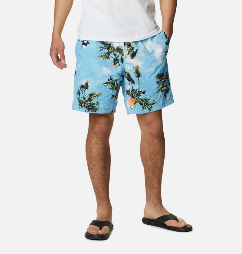 Columbia Deschutes Valley Reversible Men's Shorts Khaki | PCAOSF-371