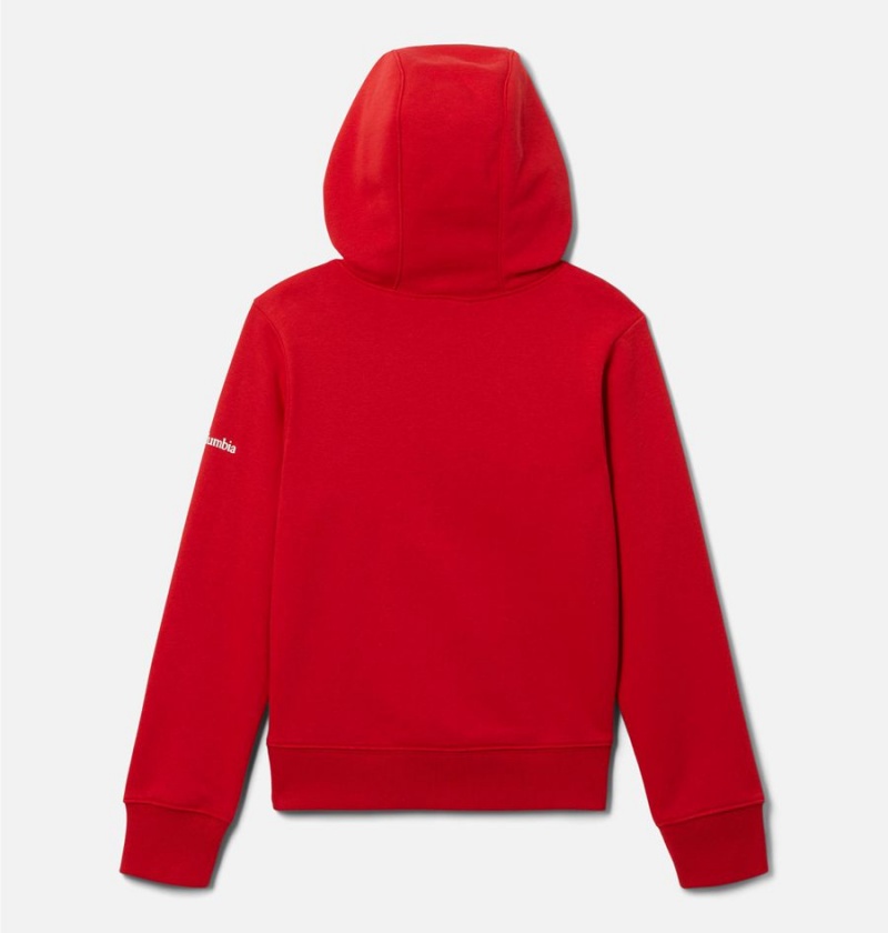 Columbia Dragonfly Ridge Kids' Hoodie Red | SITUXF-017