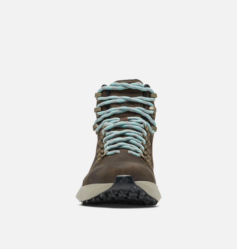 Columbia Facet Sierra OutDry Boot Women's Hiking Shoes Brown | HLUVOM-069