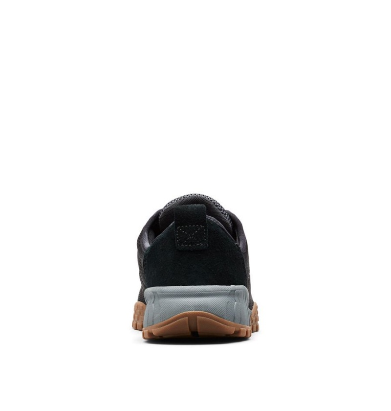 Columbia Fairbanks Low Men's Sneakers Black | VSQAML-216