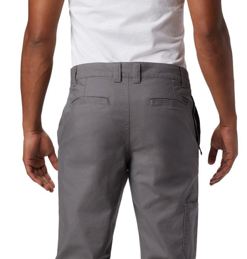 Columbia Flex ROC Men's Pants Grey | UCEGPS-629