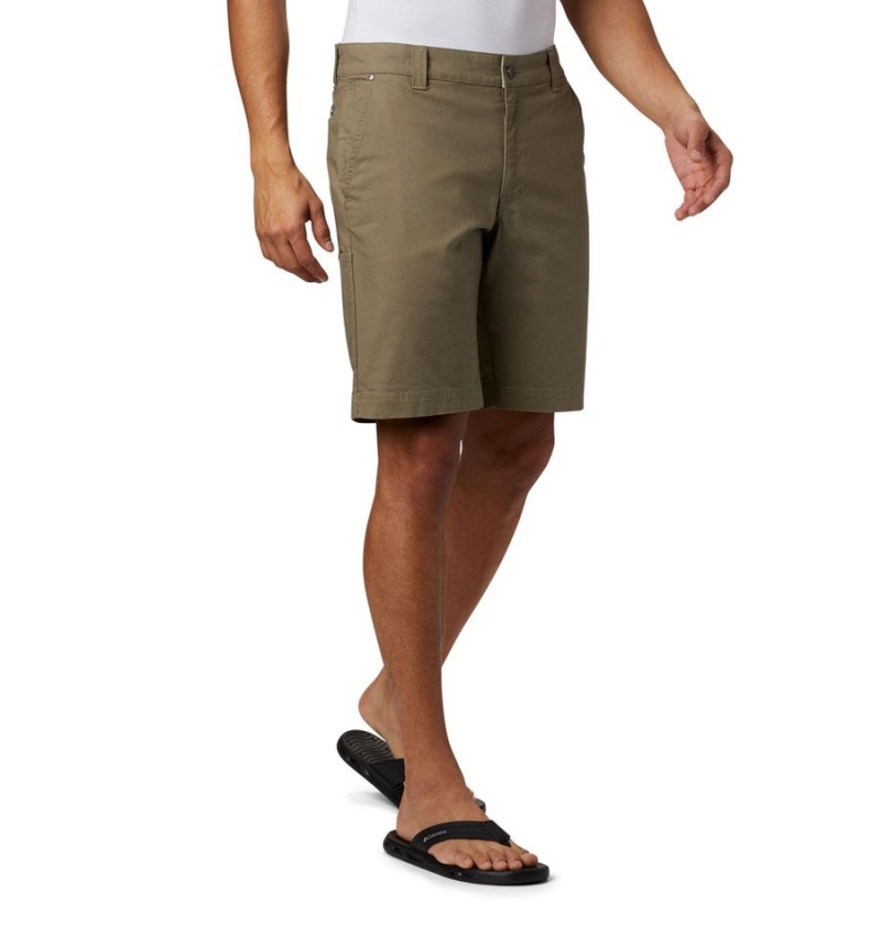 Columbia Flex ROC Men's Shorts Olive | HAVLMU-623
