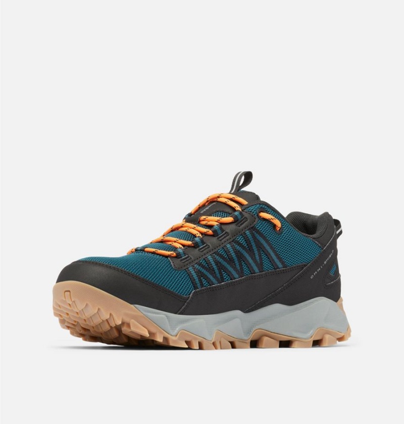Columbia Flow Fremont Men's Sneakers Blue | VWMRLF-047